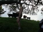 standing nude  with cows (best)