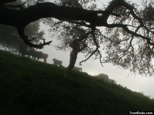 Nude with cows
