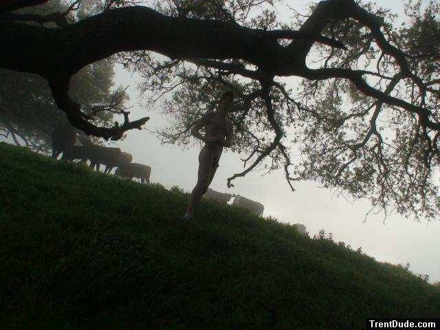 Looking at a tree