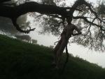 Nude with a branch