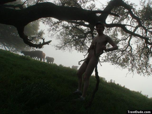 Nude with a branch