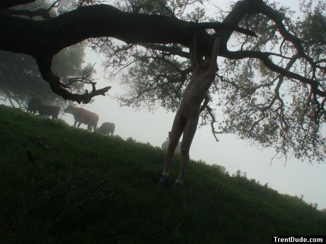 Nude hanging from a tree