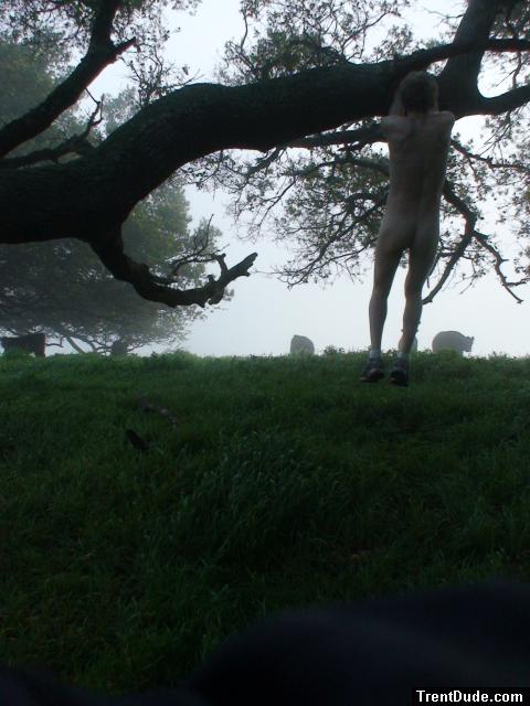 Hanging from a tree branch nude