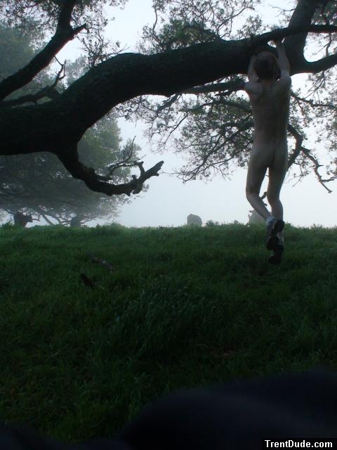 Hanging from a tree branch nude