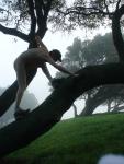 Climbing out of a tree