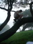 Nude in a tree
