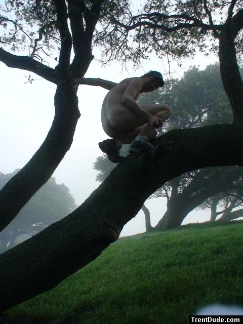 Nude in a tree