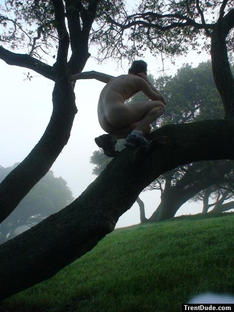 Nude in a tree