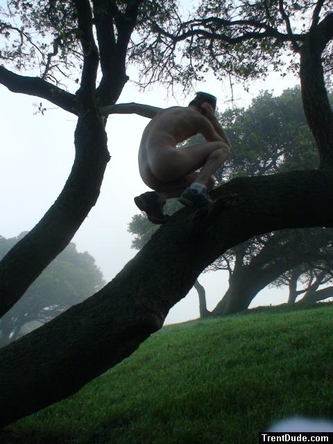 Pensive