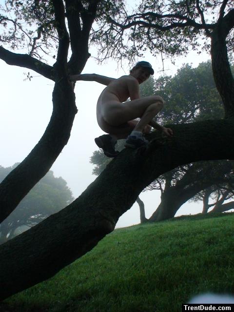 Nude in a tree