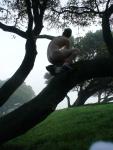 Nude in a tree