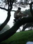 Nude in a tree