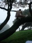 Fog