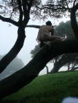 Bird watching in the trees?