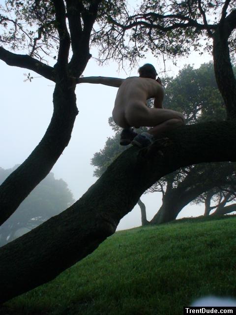 Bird watching in the trees?