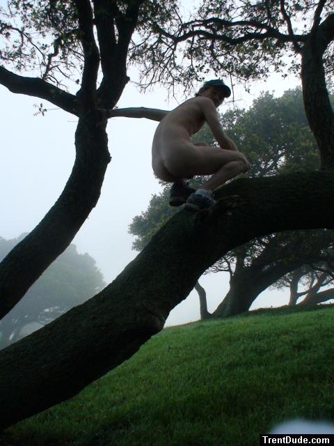 Green grass
