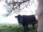 Captured image from the outdoor nude videos (watch the full length video for more)