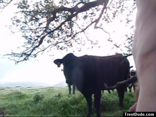 Captured image from the outdoor nude videos (watch the full length video for more)