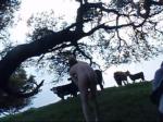 Captured image from the outdoor nude videos (watch the full length video for more)