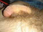 Closeup of pubic hair