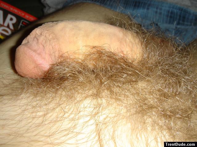 Closeup of pubic hair