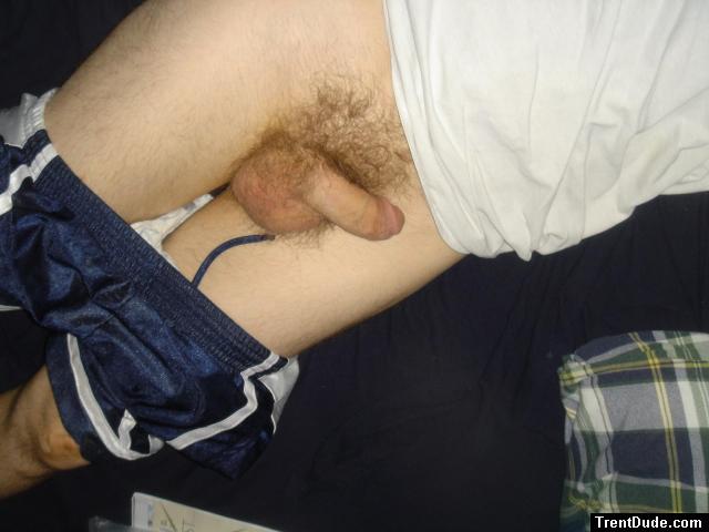 flaccid penis laying down
