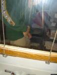flaccid penis in the mirror